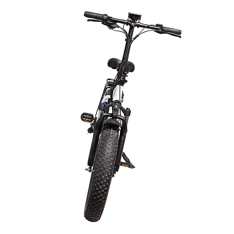 Adult 20 inch AL-ALLOY 6061# Fframe 48V350W brushless 48V10AH lithium battery foldable electric bike
