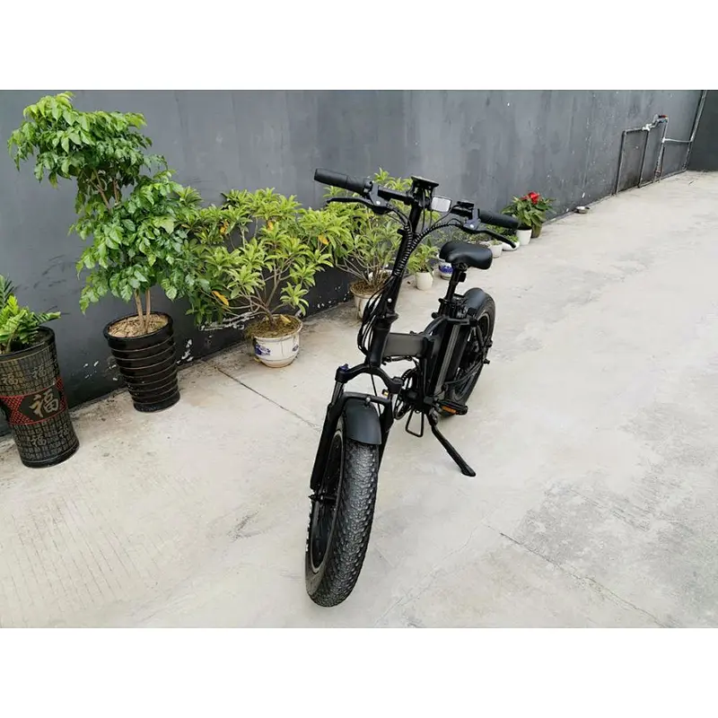 20inch fat tire foldable lithium battery removable charged mountain electric bike