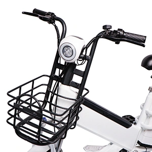 Two lithium batteries 48V350W brushless motor  delivery electric bicycle