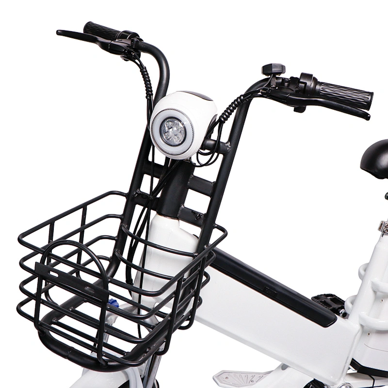 Two lithium batteries 48V350W brushless motor  delivery electric bicycle