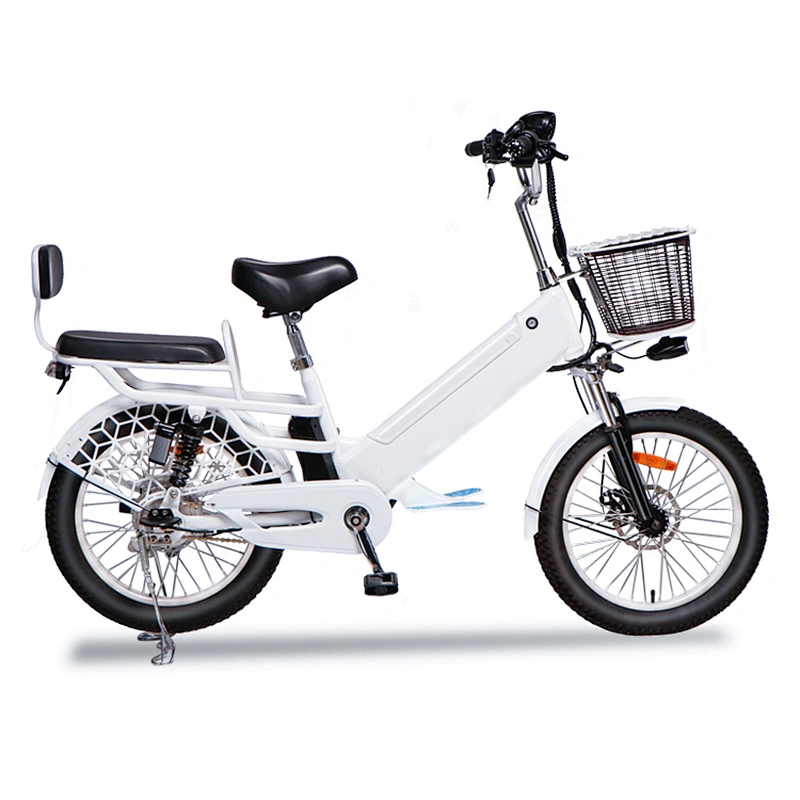 fat tyre 3.0  250-500 W Brushless Motor with 48V/60v 10ah/48VLithium battery electric bike