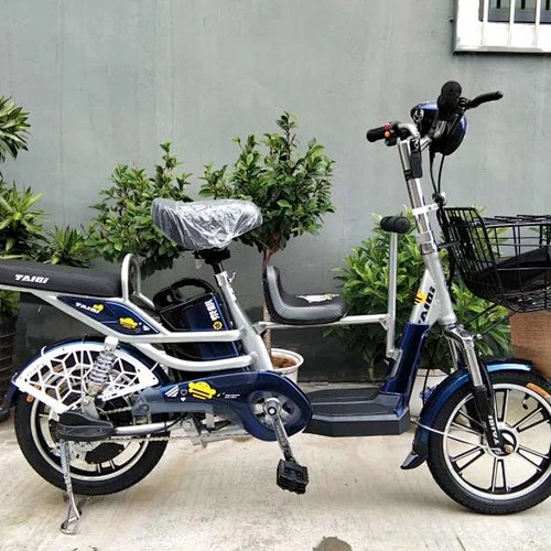 3-SEATS Battery electric bike FEIER 240-350w brushless motor 48v 10-12ah lithium battery high carbon steel frame