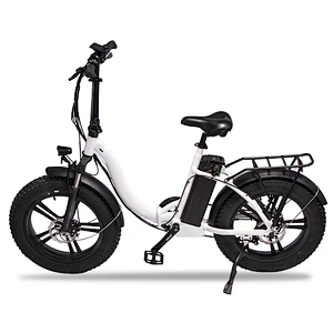 Adult 20 inch AL-ALLOY 6061# Fframe 48V350W brushless 48V10AH lithium battery foldable electric bike