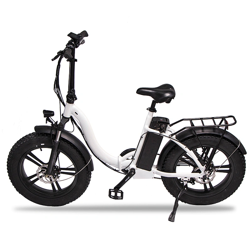Adult 20 inch AL-ALLOY 6061# Fframe 48V350W brushless 48V10AH lithium battery foldable electric bike