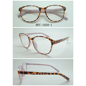 RFC-1029