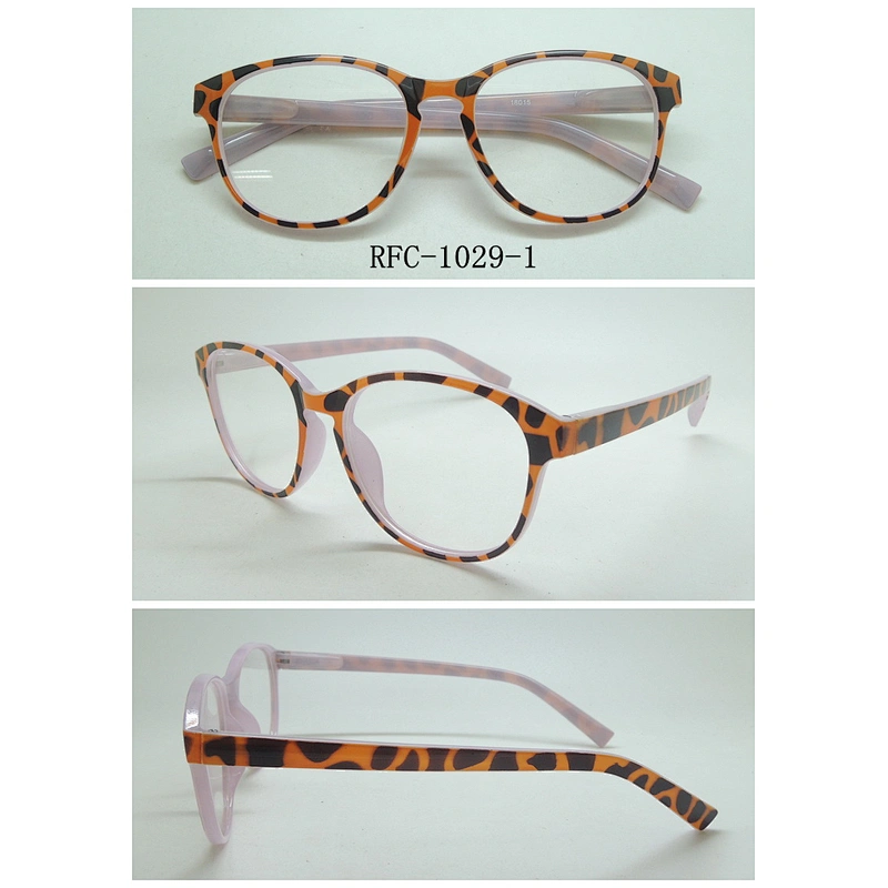 RFC-1029