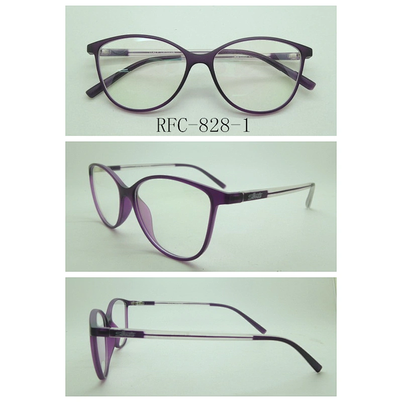 RFC-828
