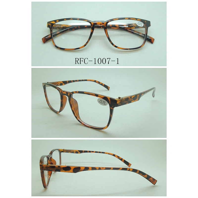 RFC-1007
