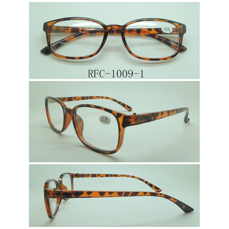 RFC-1009
