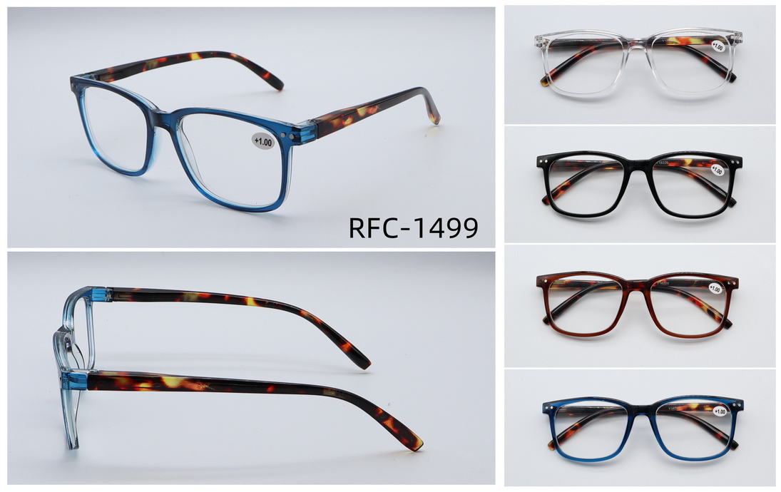 RFC-1499