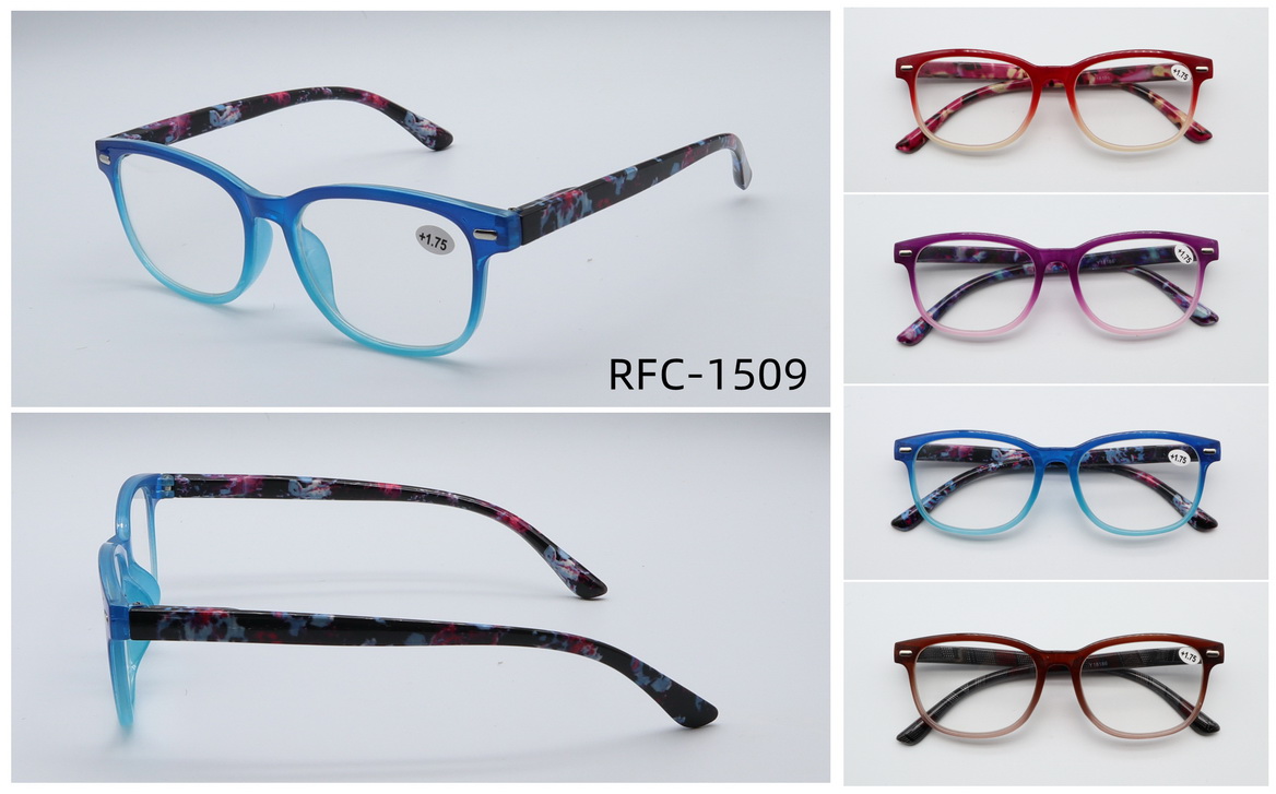 RFC-1509