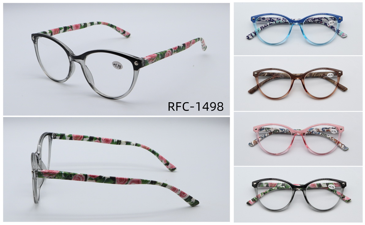 RFC-1498
