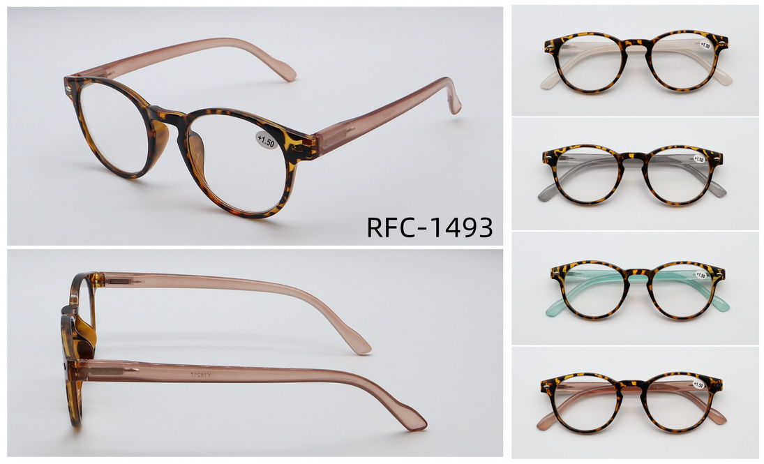 RFC-1493