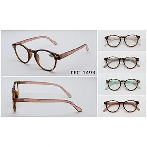 RFC-1493
