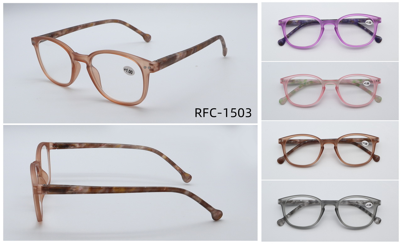 RFC-1503