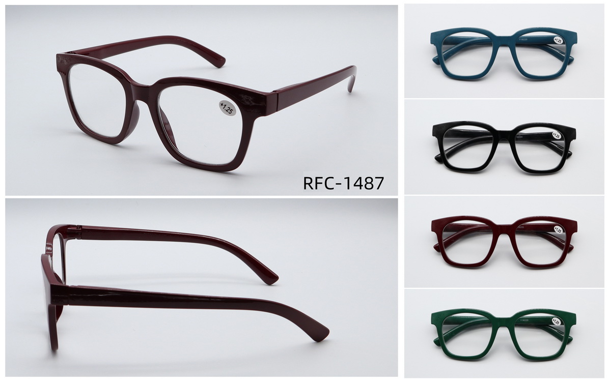 RFC-1487