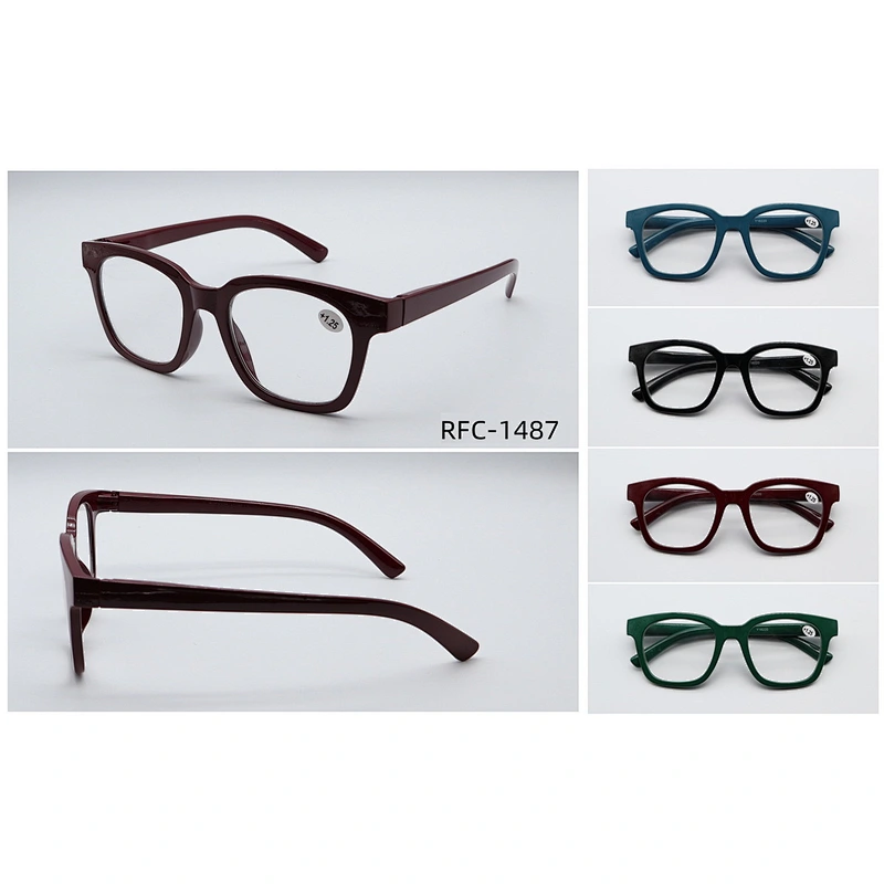RFC-1487