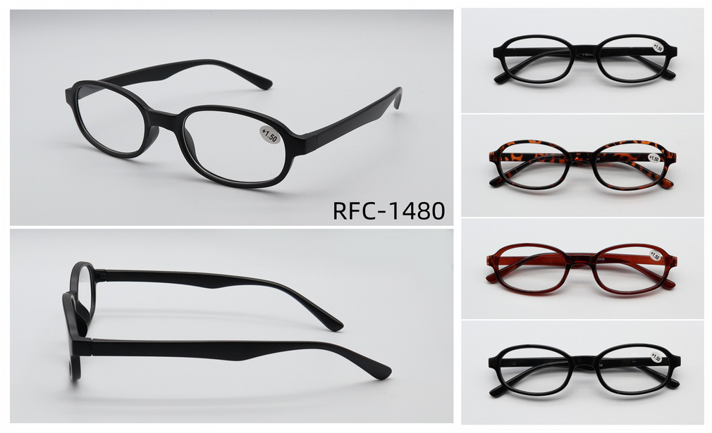 RFC-1480