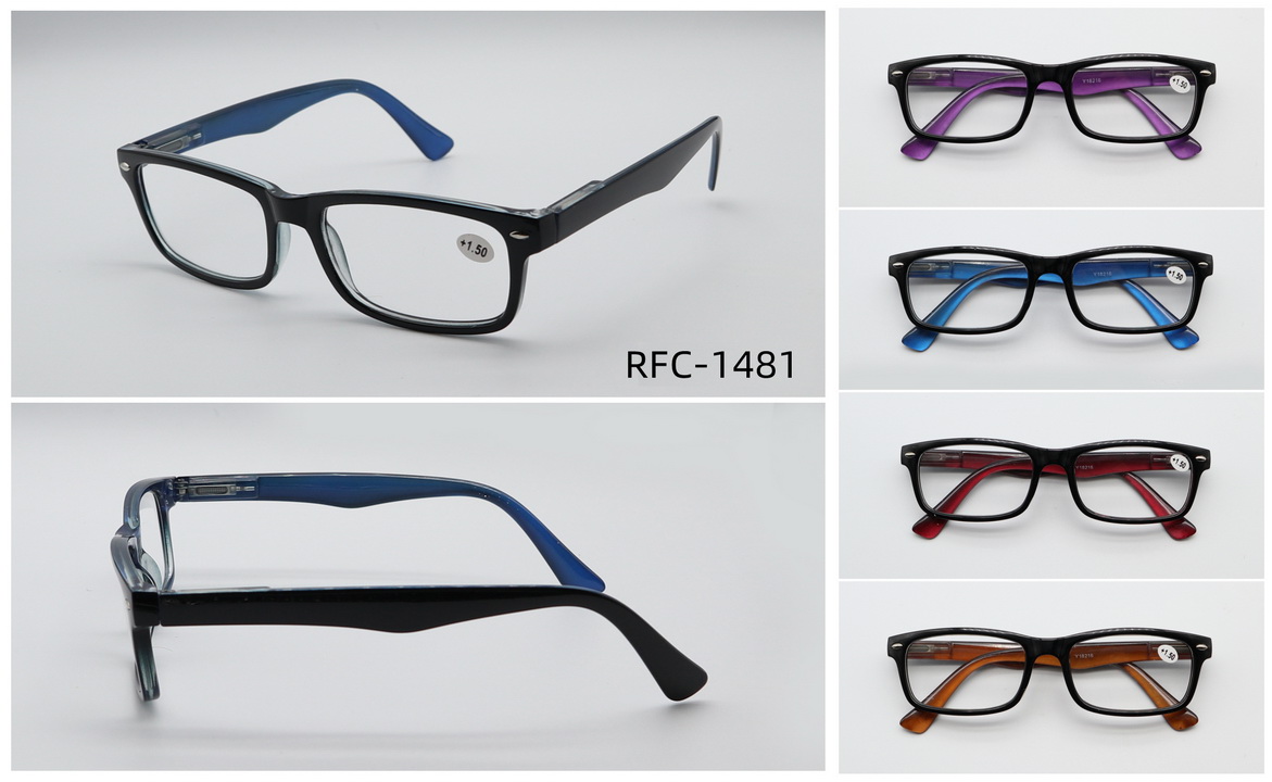 RFC-1481