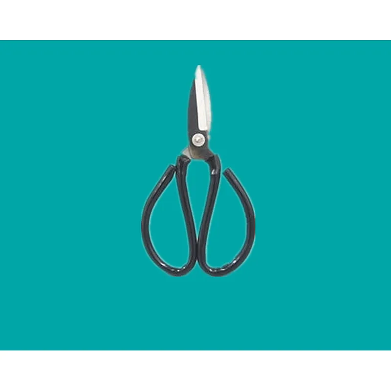 Cutting Scissore