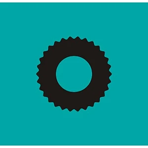Mesh gasket