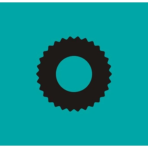Mesh gasket