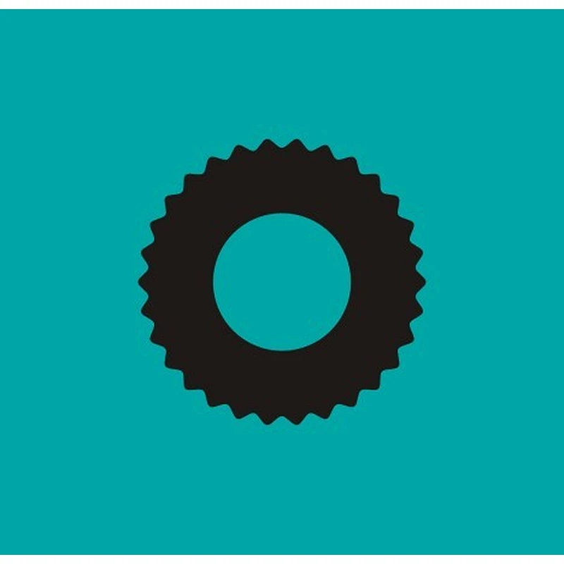 Mesh gasket