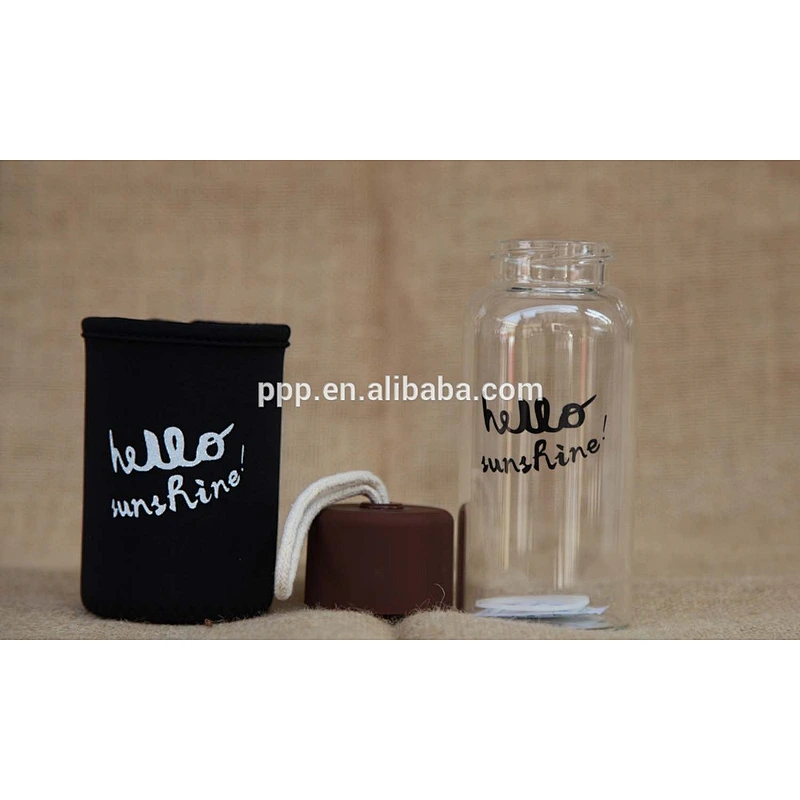 Easy Carry customizable logo Borosilicate Glass Sports Water Bottle