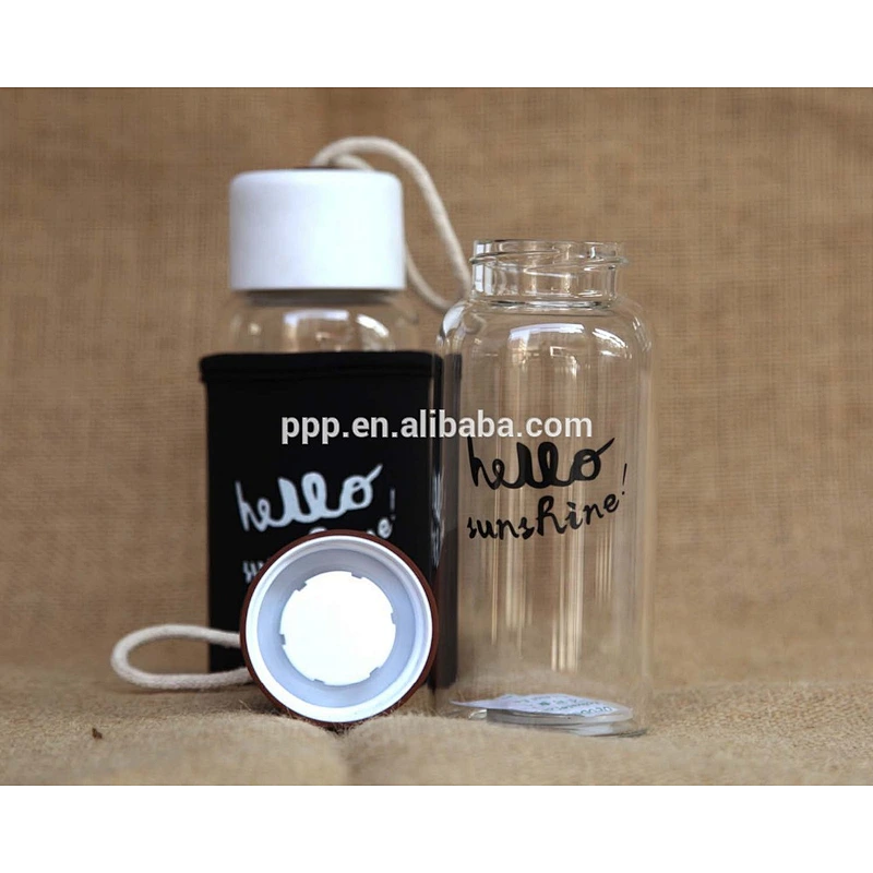 Easy Carry customizable logo Borosilicate Glass Sports Water Bottle