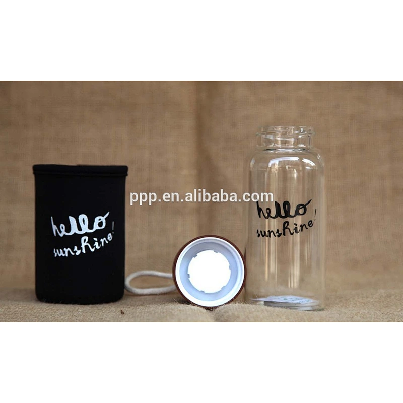 Easy Carry customizable logo Borosilicate Glass Sports Water Bottle