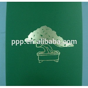 Double wall stainless steel water bottle with laser logo