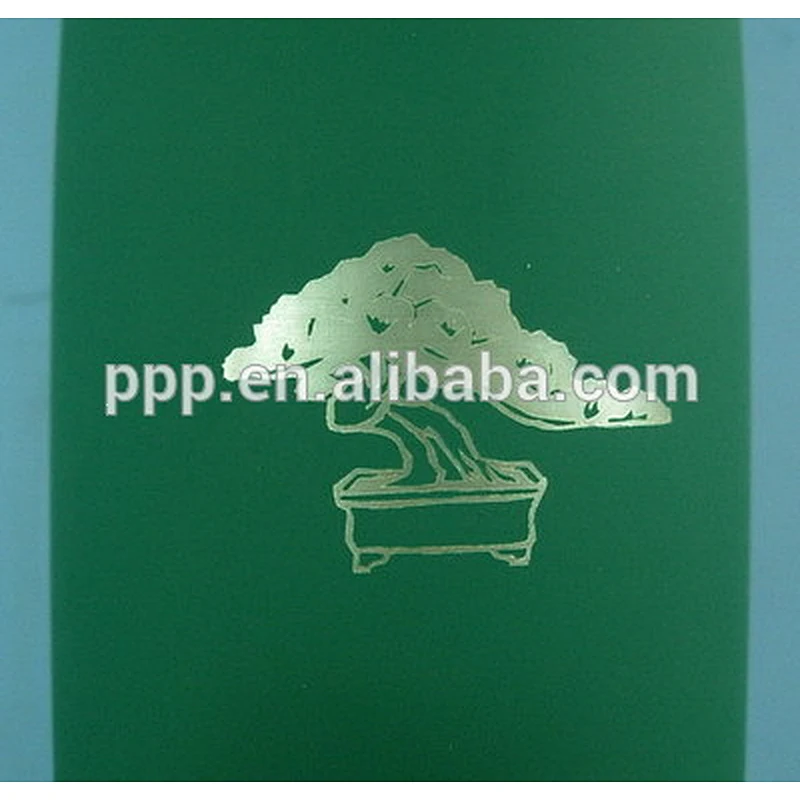 Double wall stainless steel water bottle with laser logo
