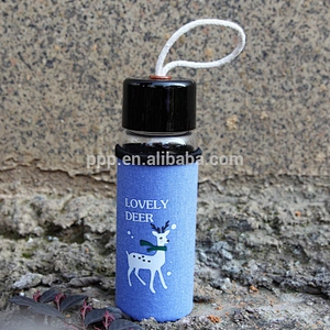 Wholesale Glass material drinking bottle drop resistant tea infuser glass bottle