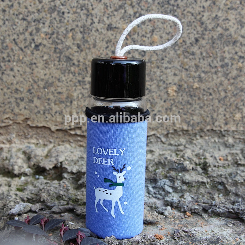 Wholesale Glass material drinking bottle drop resistant tea infuser glass bottle