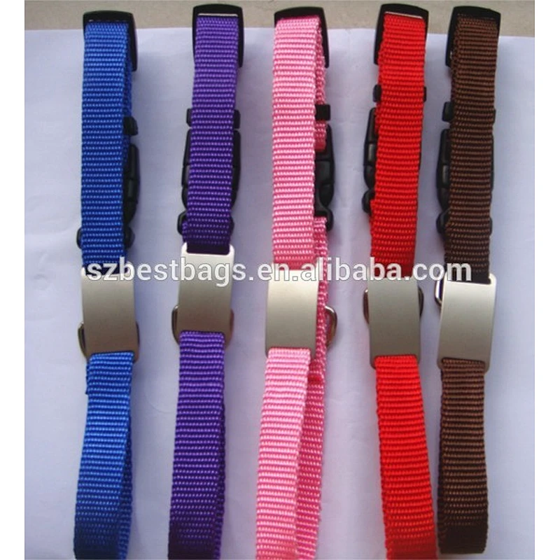 dog collar , dog collar with name plate