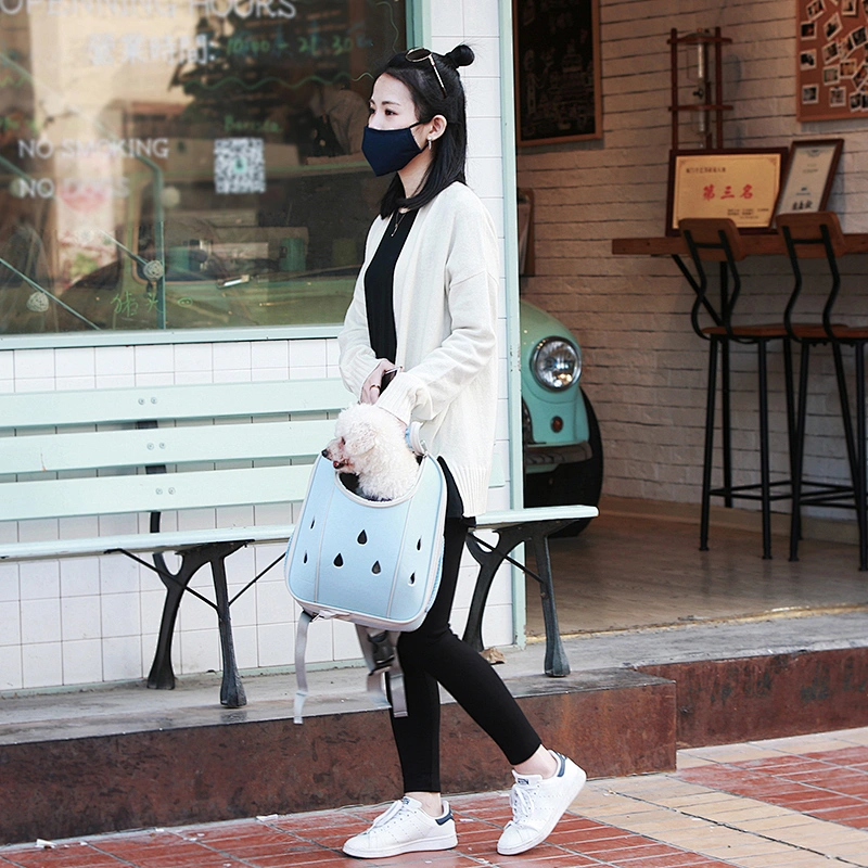 Outdoor light handsfree pet dog carrier cat carrying bag backpack for cats