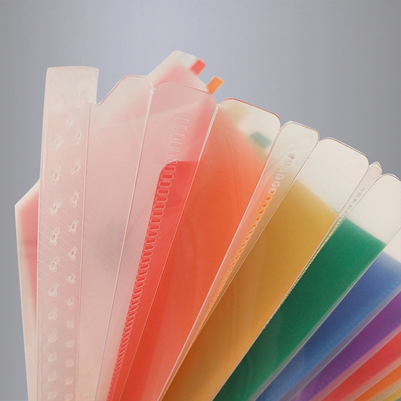 PP Document Bag For Office School Suppliers A4 Size Box Files