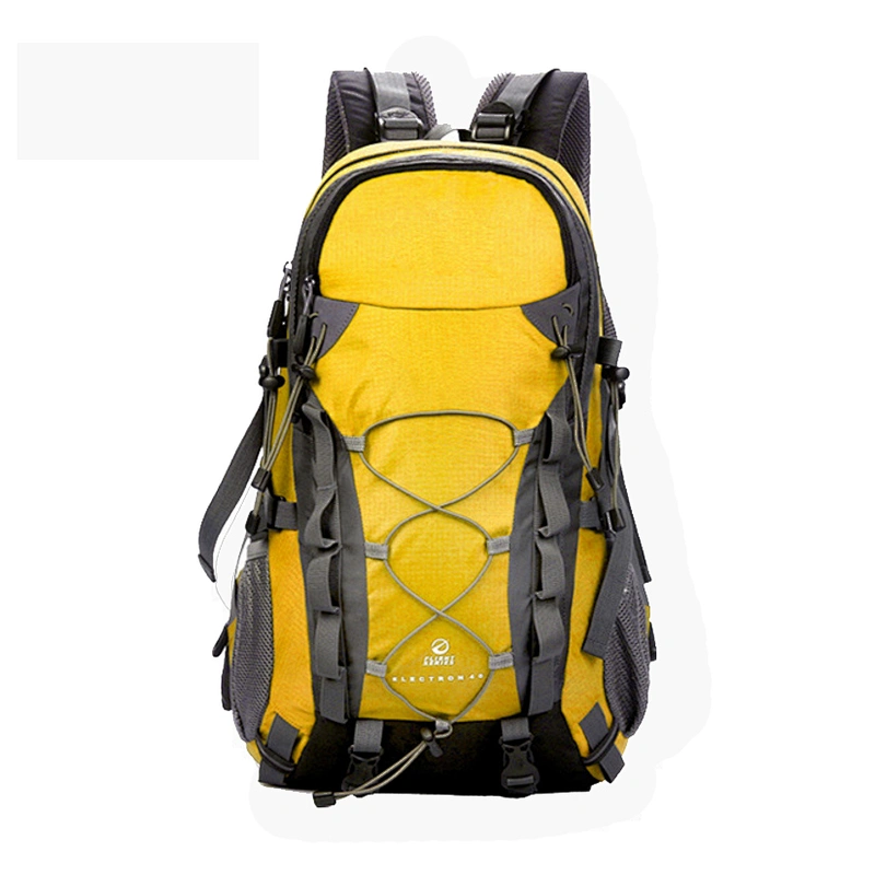 China factory custom professional travel backpack unisex hiking backpack