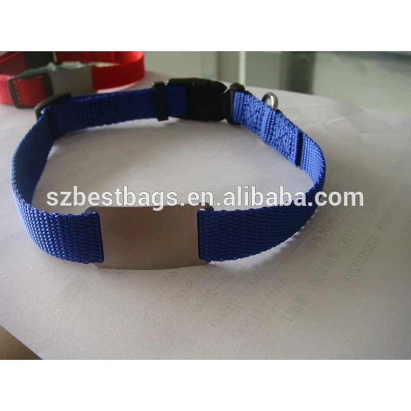 dog collar , dog collar with name plate