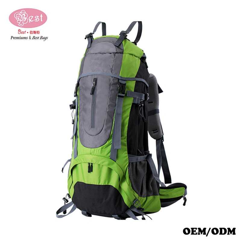 Best Selling Professinal 60L Mountain Backpack Hiking Backpack Travel Backpack sac