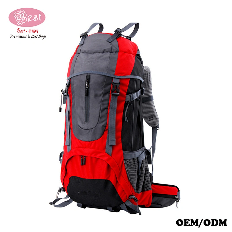 Best Selling Professinal 60L Mountain Backpack Hiking Backpack Travel Backpack sac