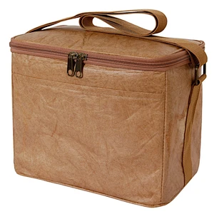 Tyvek Insulated Paper Lunch Case Water Resistant Cooler Bag Reusable Lunch Bag