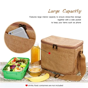Tyvek Insulated Paper Lunch Case Water Resistant Cooler Bag Reusable Lunch Bag