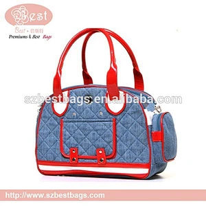 fashion dog bag to carry dogs