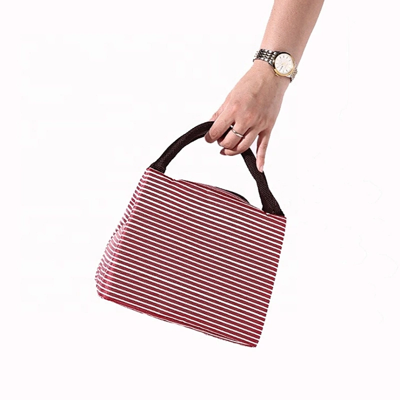 2020 new stylish practical durable simple lunch bag for traveling or working