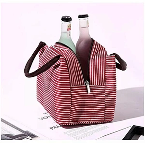 2020 new stylish practical durable simple lunch bag for traveling or working