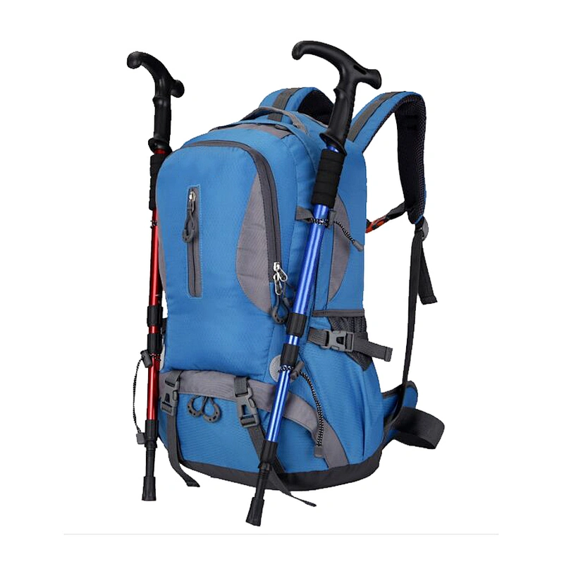 Pet backpack carrier bag canvas waterproof dry makeup
