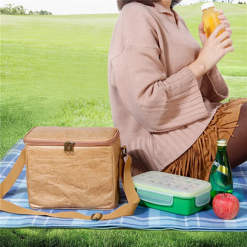 Tyvek Insulated Paper Lunch Case Water Resistant Cooler Bag Reusable Lunch Bag