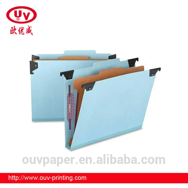 Good quality clear plastic file with custom logo printing Classification Folder