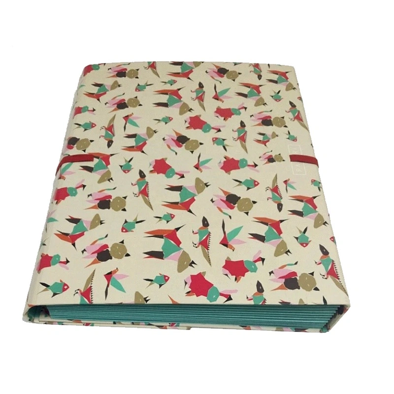 Custom PP Plastic Material A4 Size File Folder Office Stationery